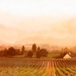 California Red
