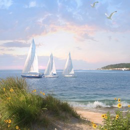 Sandy Hook